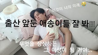 현실육아 이런거였니..? 😱 초보 엄마의 몸으로 때우는 일상 / 눈물로 키우는 첫 아이.. 엉엉😭