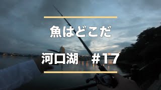 バス釣り【河口湖】Sakanaはどこだ！＃17