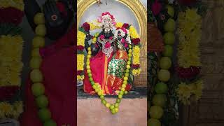 Theipirai Ashtami Swarnakarshana Bhairavar Swarna Bhairavi #shorts #shortsfeed #bhairavar