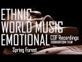 Royalty Free Music - World Music Ethnic Documentary | Spring Forest (DOWNLOAD:SEE DESCRIPTION)