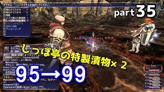 FF11 限界クエスト95→99最後の試練！「弱体アイテムを使って」【Beyond Infinity】part35 FINAL FANTASY XI