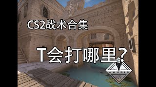 【CS2 阿努比斯Anubis】T会打哪里？