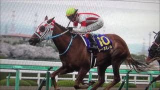 【競馬予想】中山１２R　鹿島特別