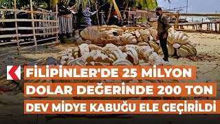 Filipinler'de 25 milyon dolar değerinde 200 ton dev midye kabuğu ele geçirildi