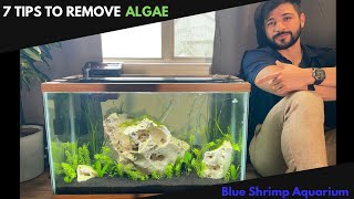 Algae Proof Your Aquarium Using These 7 Tips!