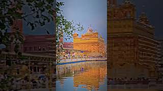 golden temple #india #indian #punjab #delhi #youtubeshorts #2023