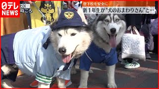 【犬のおまわりさん】新１年生らと横断訓練  登下校を安全に