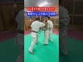 【空手】打撃の威力は２人目まで通るのか！！ aikido ＃karate martial 合気道 武道 空手