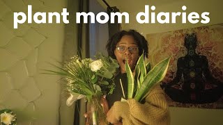 visual diary 03: become a plant mom with me! (tips & cozy set up) 🪴