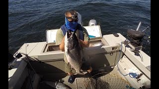 Catch a 30lb and 15lb Salmon. Halfmoon Bay Fishing 6/18/20.