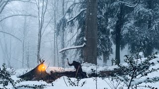 Solo Bushcraft Camping \u0026 Survival in a Deep Snowy Jungle – No Sleeping Bag, Extreme Cold -15°C