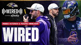 Inside Veteran & Rookie Minicamp With New Coaching Staff | Ravens Wired
