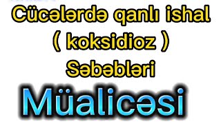 çolpada qan getmə •cücələrdə qan getmə • çolpada qanlı ishal • çolpada qan getmənin müalicəsi