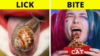 LICK, BITE or NOTHING Challenge #shorts #lick #bite #blimey