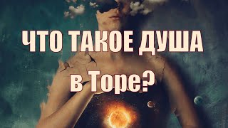 Что такое "душа" в Торе?