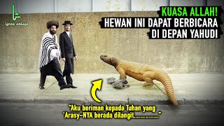 KEAJAIBAN DARI ALLAH! Hewan Ini dapat Berbicara Tentang Nabi Muhammad di Depan Yahudi