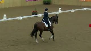 Rachael Lane, \u0026 WILHELMINA - Hartpury Festival of Dressage- PL Saracen Horse Feeds Intermediate I