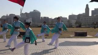 神奈川商工会祭２０１４－よさこい桂友会１