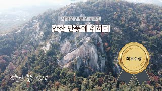 [최우수상] 서대문구 영상 공모전 수상작 - 안산 단풍에 취하다 4K