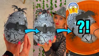 [ASMR] HATCHING A GIANT *SPOOKY* MYSTERY EGG!!😰🕷🥚 *BEWARE!😳*  #Shorts