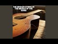 The Broken String in the Middle of the Song