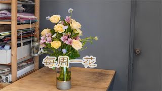 每周一花香槟玫瑰六出花翠珠 家庭装饰瓶插鲜花【大叔說花】