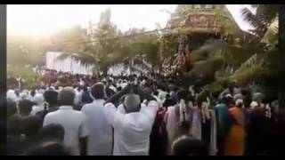 மேற்பனைக்காடு மாரியம்மன் கோவில் திருவிழா விடியே 2016