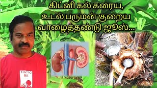 கிட்னி கல் கரைய, உடல்பருமன் குறைய வாழை ஜூஸ்     Dissolve kidney stone,  to loss weight, banana juice