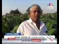 agrowon jalgaon based madhukar deshmukh s success story of alu wadi production