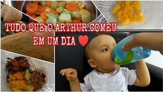 O QUE MEU BEBÊ DE 11 MESES COME EM UM DIA- ROTINA ALIMENTAR 🍎🍊🥭🥕🍠🧅🥩