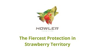 Howler for Strawberries