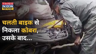 चलती हुई Motercycle से अचानक निकल आया Cobra, सीट के नीचे सांप देख उड़ी चालक की नींद !