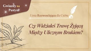 ✒Linia Gwiezdna, Do Ciebie Czekającego na Wiosnę, Kościół Boga Towarzystwo Misji na Świecie