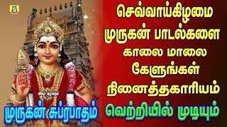 செவ்வாய்க்கிழமை கேட்கவேண்டியசிறப்பு சூப்பர்ஹிட் முருகன் பாடல்கள்Murugan Suprabatham