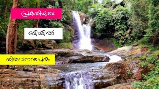 Braemore Tea estate ...Mankayam water falls A refreshing |Food and travel with echayaan