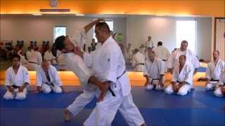 Nariyama Shihan - teaching Kote Hineri (4)