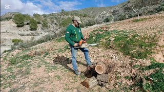 L.M  seguimos con la leña que mañana labramos 🇪🇦👍☺🚜