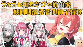 【獅子堂あかり】綽號的由來／被同期溺愛著的獅子堂寶寶【彩虹社剪輯】