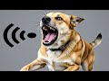 Dog Barking Sounds To Make Your Dog Bark | Dog Voice For Dogs | Dog Sound And Dog