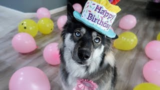 Kakoa's Surprise 1st Birthday Party!