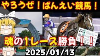 【ばんえい競馬】JRAだけが競馬じゃない！渾身の勝負レースは北の大地にある！【ゆっくり競馬予想】