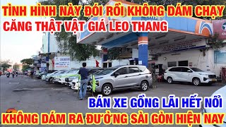CĂNG THẬT HẾT DÁM RA ĐƯỜNG VẬT GIÁ LEO THANG BÁN XE GỒNG LÃI NGÂN HÀNG HẾT NỔI
