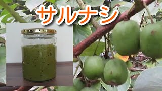 サルナシジャムの作り方