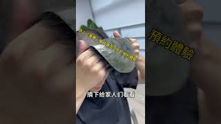 小犬來襲，今早8號風球又不用上班了，哈哈。不用上班也要有型有款。看看我假髮的效果，牢固穩陣，打風都吹唔甩。快來【深圳潮流之外】預約體驗啦！ #增髮 #潮流 #假髮 #深圳 #深圳好去處 #假髮造型