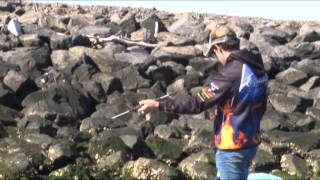 Fishing the Dream - Season 1 Episode 4 - The Tackle Shop Carseldine - Tim Morgan - Tristan Taylor