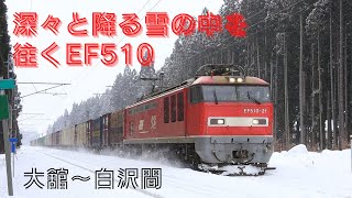 深々と降る雪の中をEF510牽く貨物列車が往く。