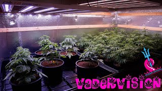 Making the switch to LED Grow Lights?!?!