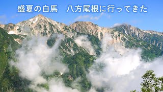 盛夏の八方尾根に行ってみた   (4K映像) 　【2024年7月23日撮影】