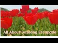 All About Goseong South Korea