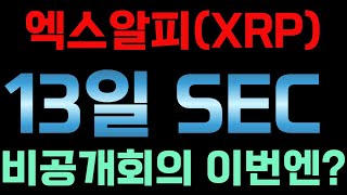 [#엑스알피  #xrp #리플 ] 13일 SEC 비공개회의 이번엔?